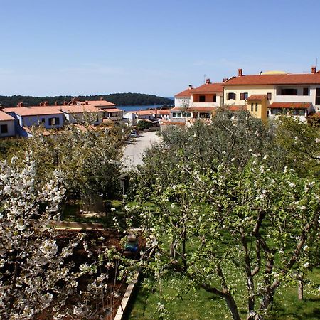 Apartments Cezar Винкуран Екстериор снимка